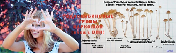 скорость Верхний Тагил